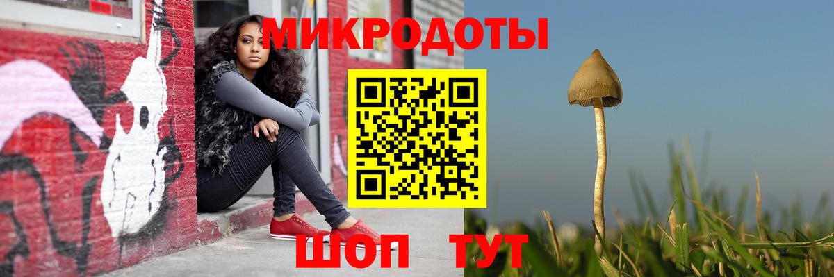 Озёры  Псилоцибиновые грибы Cubensis  Вход с VPN 